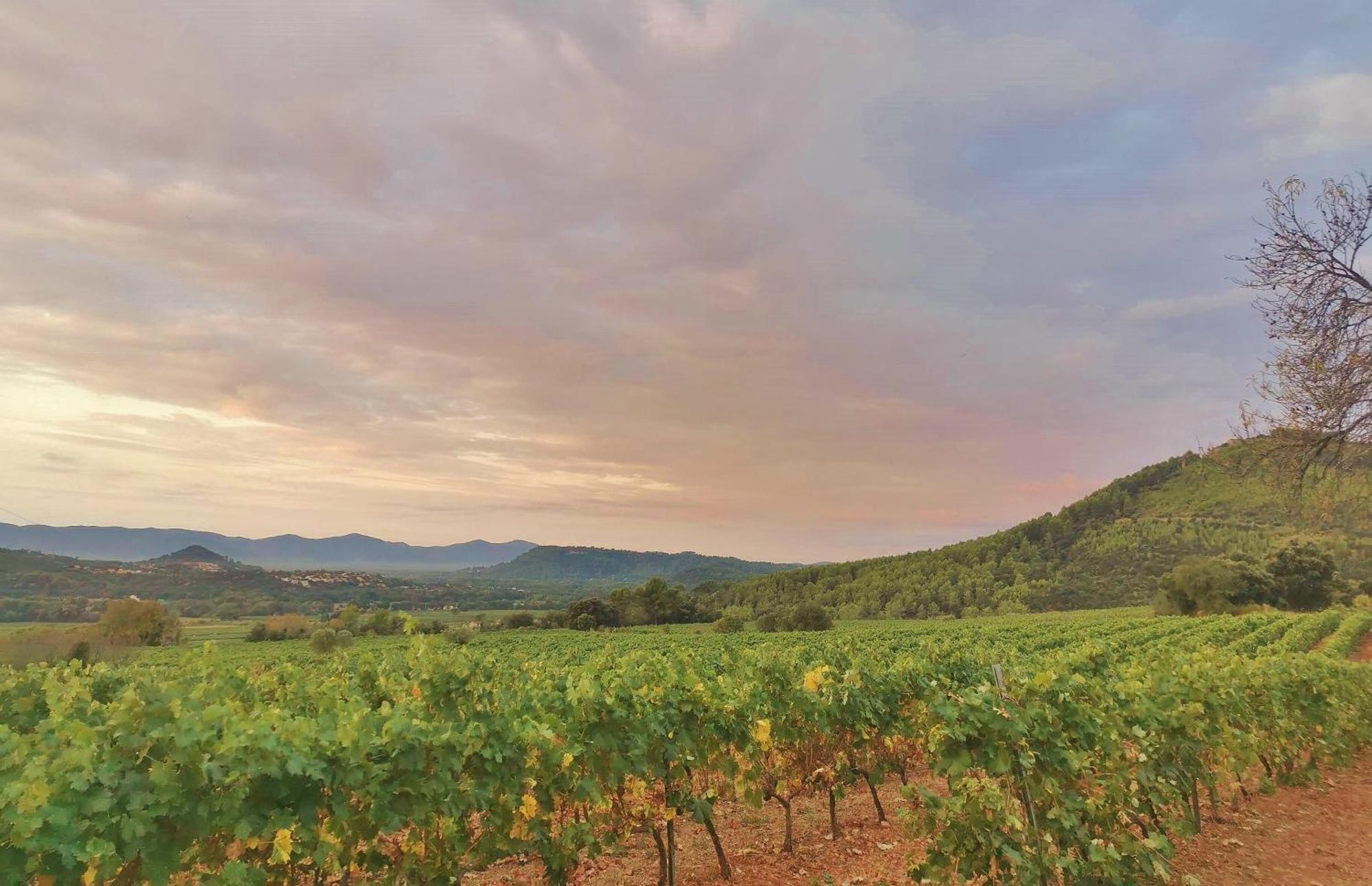Le Nid En Chante Vue Panoramique Les Arcs-sur-Argens Exterior foto