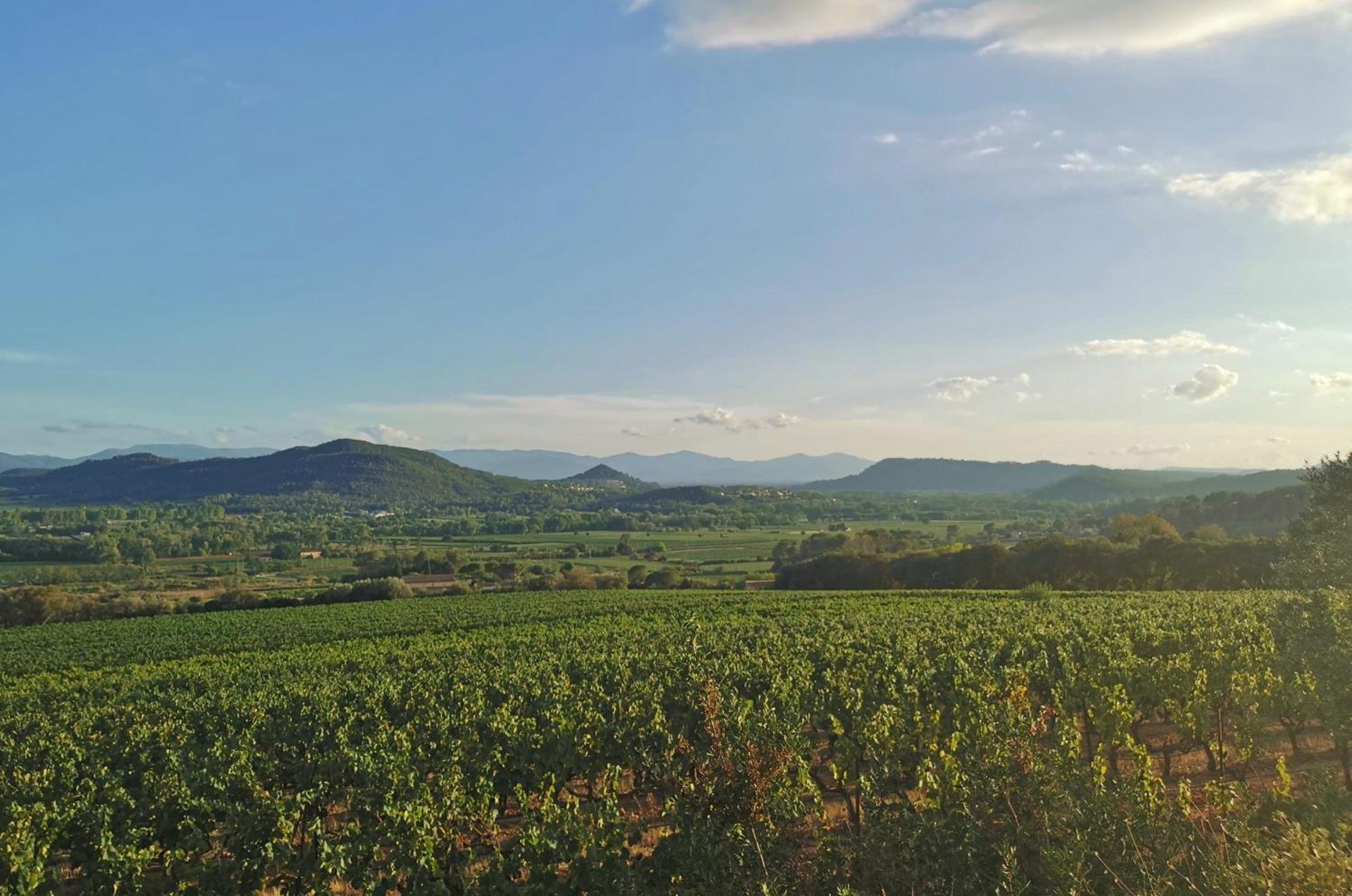 Le Nid En Chante Vue Panoramique Les Arcs-sur-Argens Exterior foto
